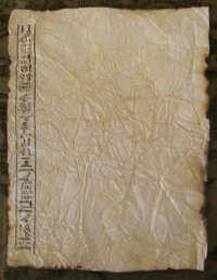 Antiqued Egyptian Themed Hieroglpyh Paper